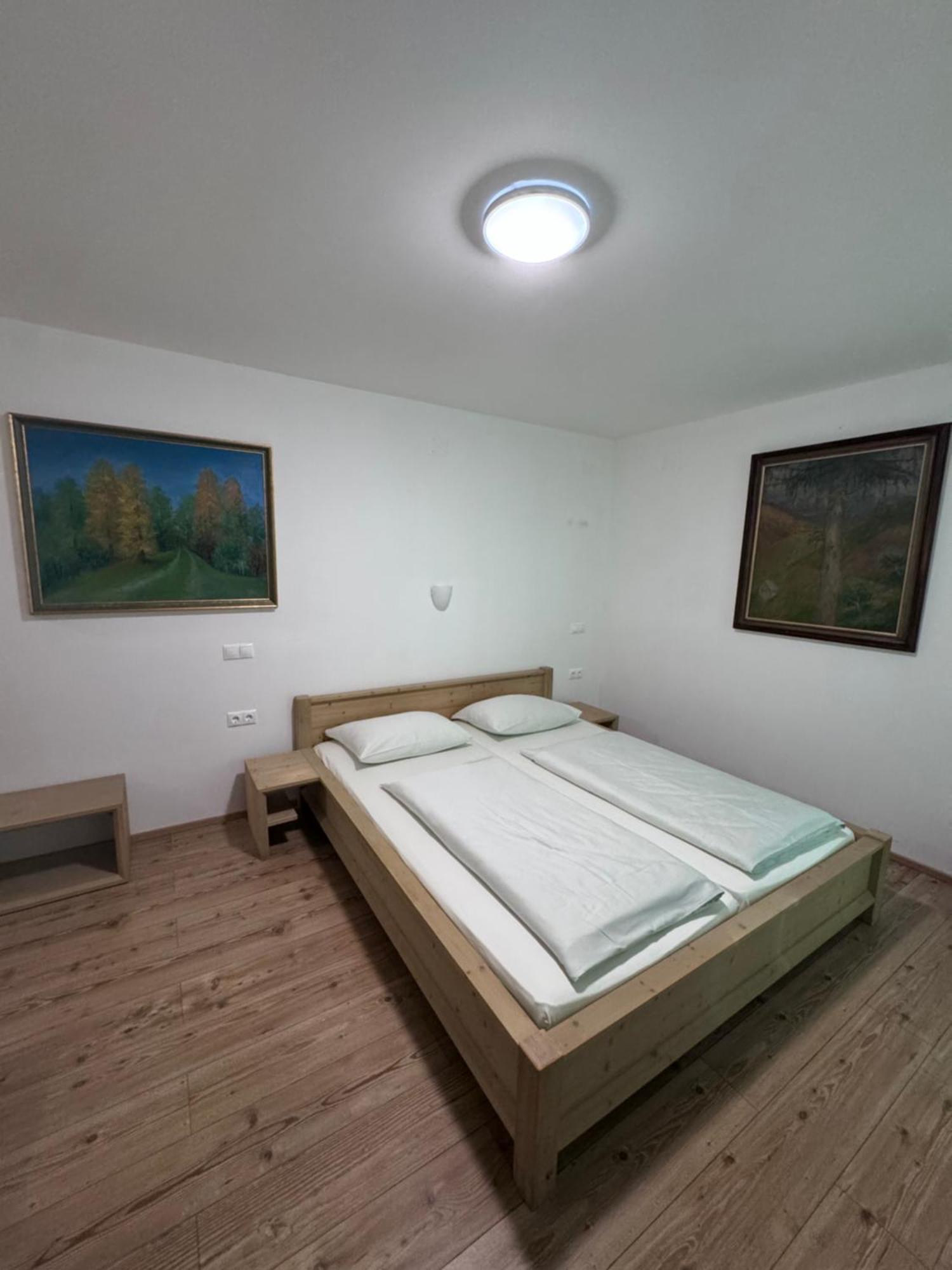 Guesthouse Tolc Spodnja Sorica Екстериор снимка